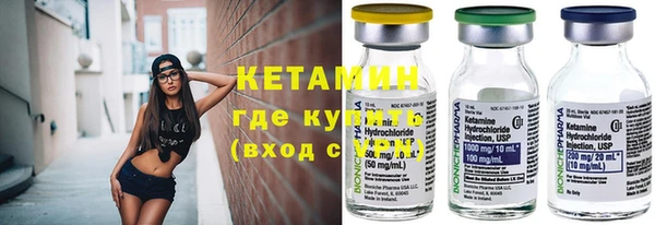 крисы Алексин