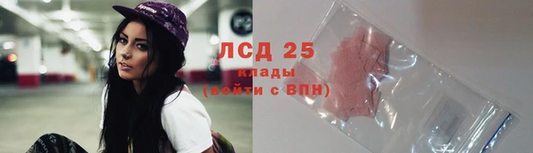 крисы Алексин