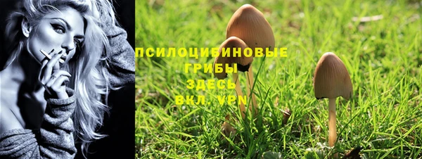 ГАЛЛЮЦИНОГЕННЫЕ ГРИБЫ Алексеевка
