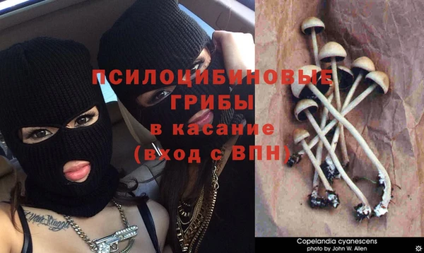 MDMA Premium VHQ Алзамай