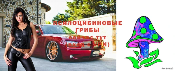 крисы Алексин