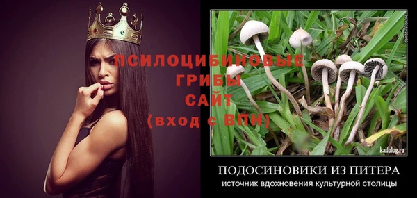 ГАЛЛЮЦИНОГЕННЫЕ ГРИБЫ Алексеевка