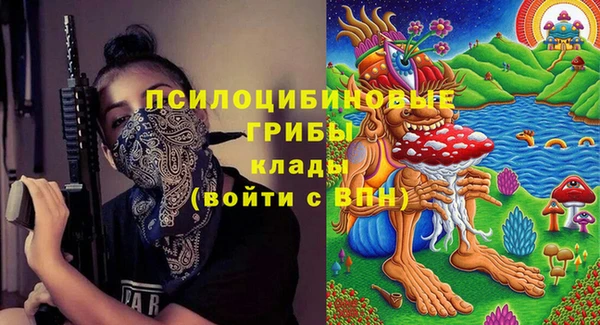 крисы Алексин