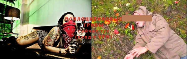 ГАЛЛЮЦИНОГЕННЫЕ ГРИБЫ Алексеевка