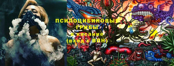 крисы Алексин