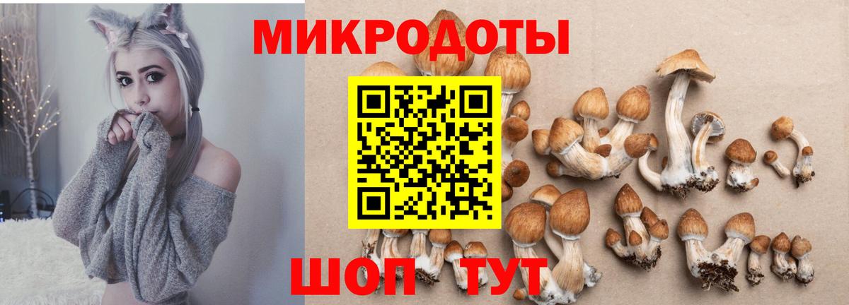 Псилоцибиновые грибы Magic Shrooms  Галлюциногенные грибы прущие грибы  Белорецк  купить   Вход с VPN 